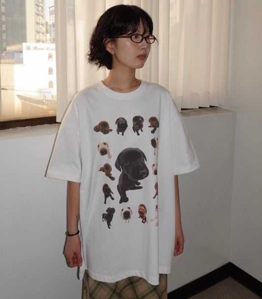 Unisex Labrador tee